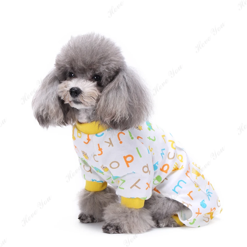 Dog_2858