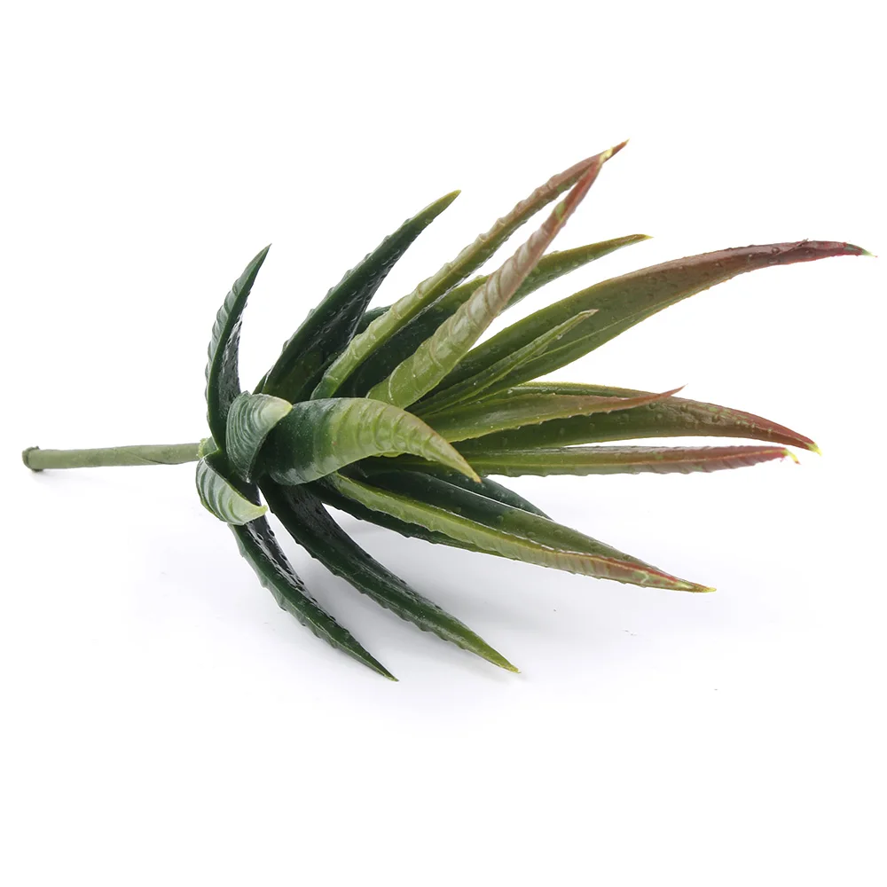 G01515217363__MG_0099