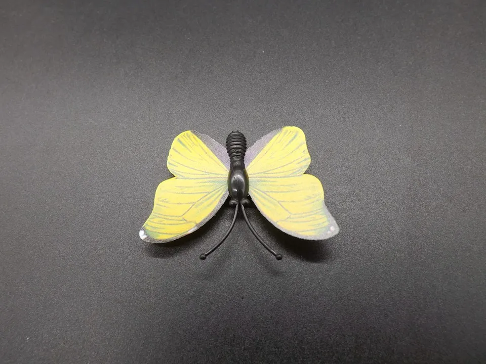 I259-Butterfly (8)