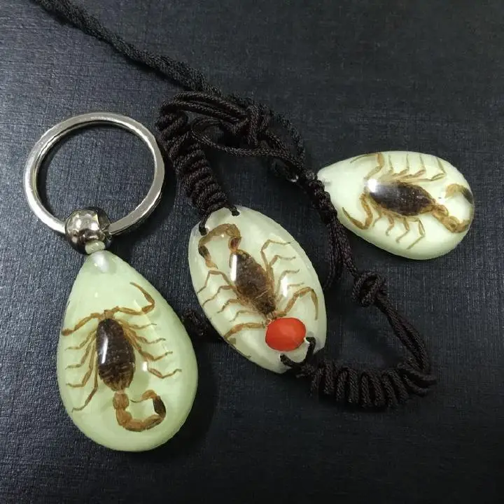 10 PCS Glow In The Dark Lucite MINI Style Teardrop Necklace Black Scorpion