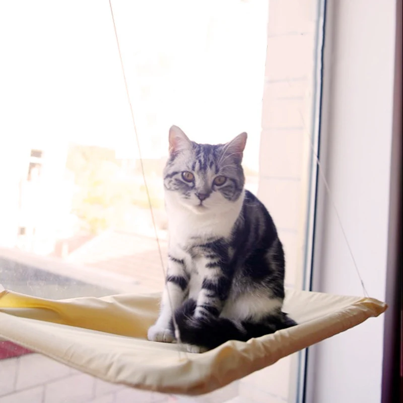 

Cute Pet Beds Sunny Seat Window Mount Pet Cat Hammocks Comfortable Soft Mat Cushion Kitten Safe Hanging Shelf Bed With Suction