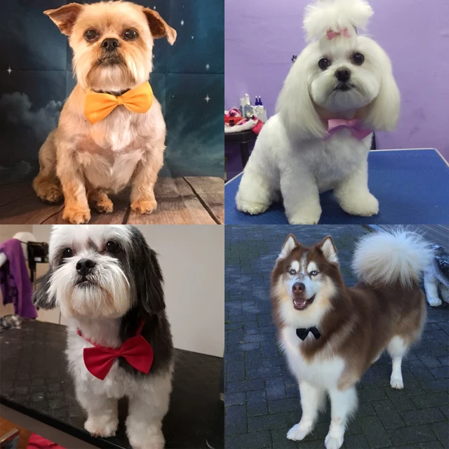 50/100 pcs/lot Mix Colors Wholesale Pet Grooming Accessories Rabbit Cat Dog Bow Tie Adjustable Bowtie Multicolor Pet Products