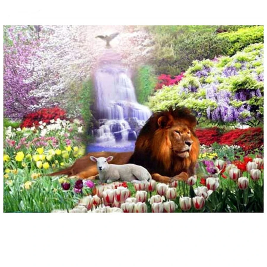lion sheep_