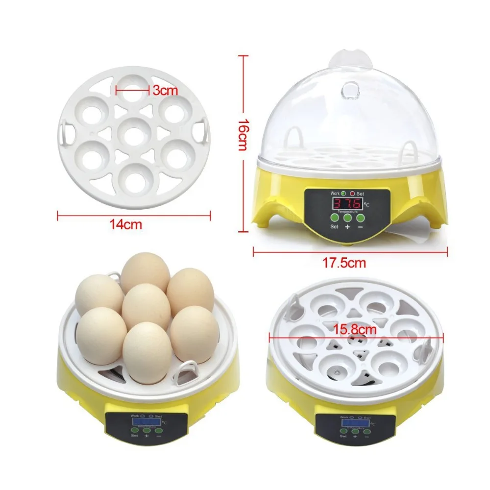 Mini 7 Egg Incubator Poultry Incubator Brooder Digital Temperature Hatchery Machine Hatcher for Chicken Duck Bird Pigeon Mini 7 Egg Incubator Poultry Incubator Brooder Digital Temperature Hatchery Machine Hatcher for Chicken Duck Bird Pigeon