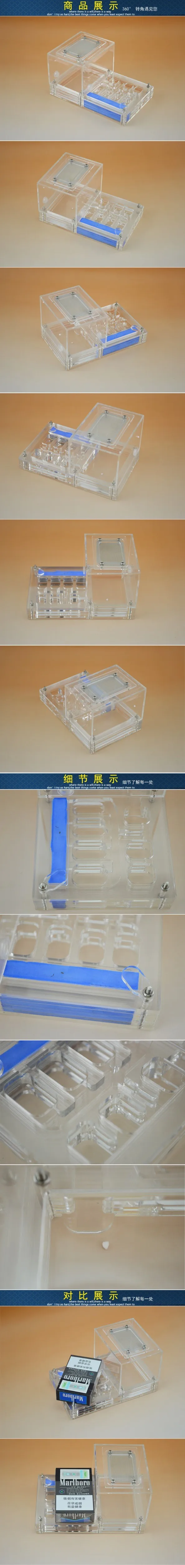 ant-house (1)