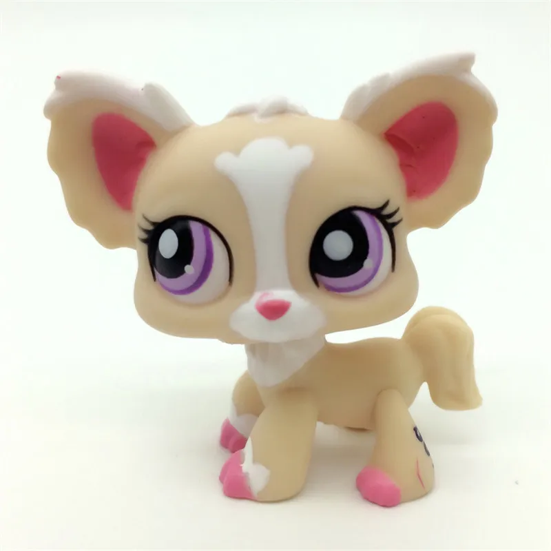 lps102-1