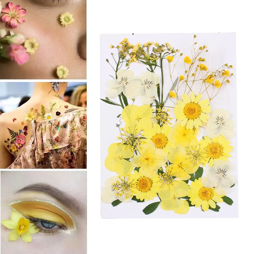 Yellow Dried Flower Украшения для лица Diy-настоящие сушеные цветы Ассорти Красочные ромашки листья гортензии для художественного ремесла вечерние DIY - Цвет: Yellow Dried Flower
