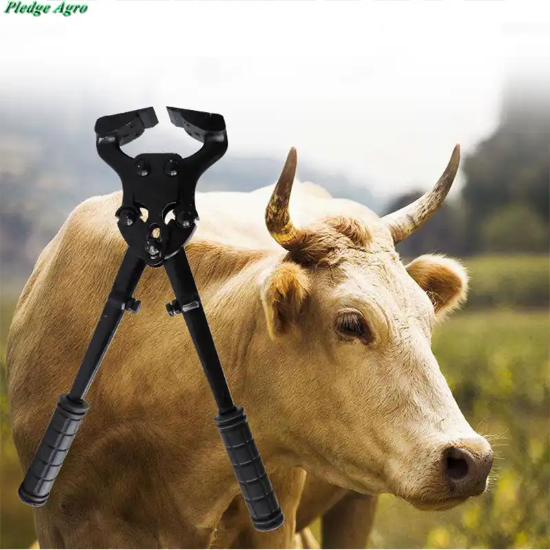 Hoof Tools Trimmer Kit Veterinary Veterinaria Equipos Farm Sheep Cattle