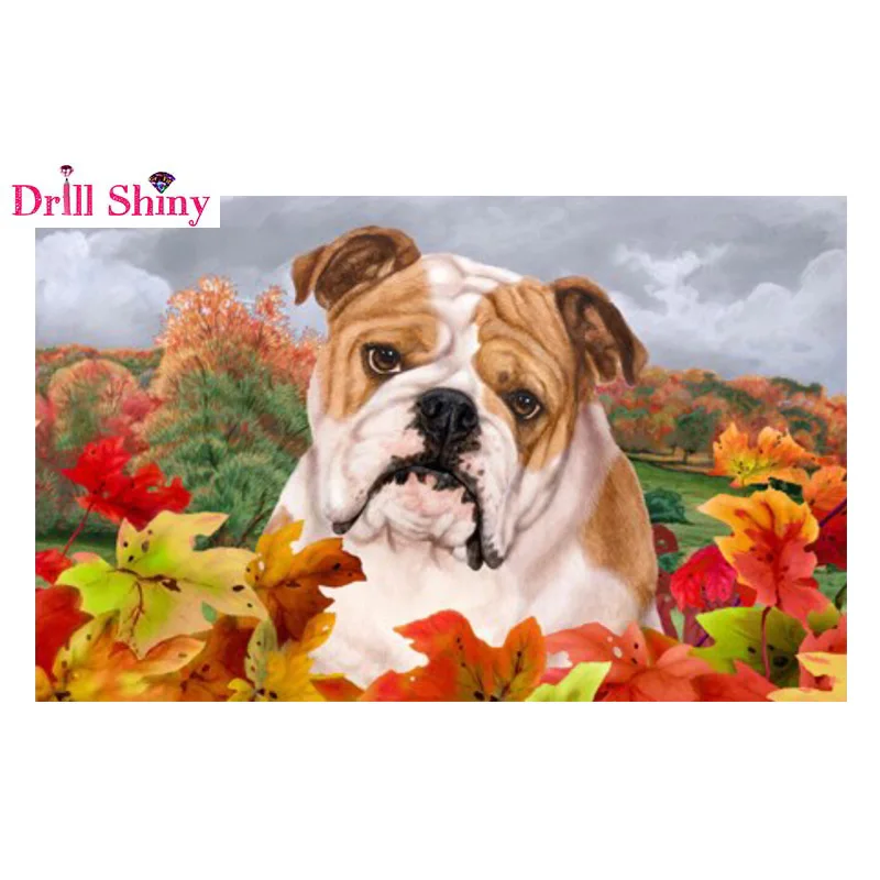 

5D Diy Diamond Painting Cross Stitch Diamond Embroidery Bulldog Baby Diamond Mosaic Square Pattern Rhinestone Needlework
