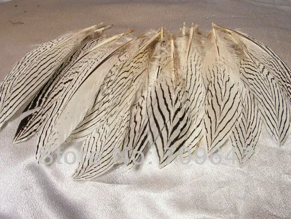 Wedding Accessories! 50pcs/Lot 8-10&quot 20-25CM Silver Pheasant Tail Feathers Craft/Pad/Costume/Hats Plumas Decoracion | Дом и сад
