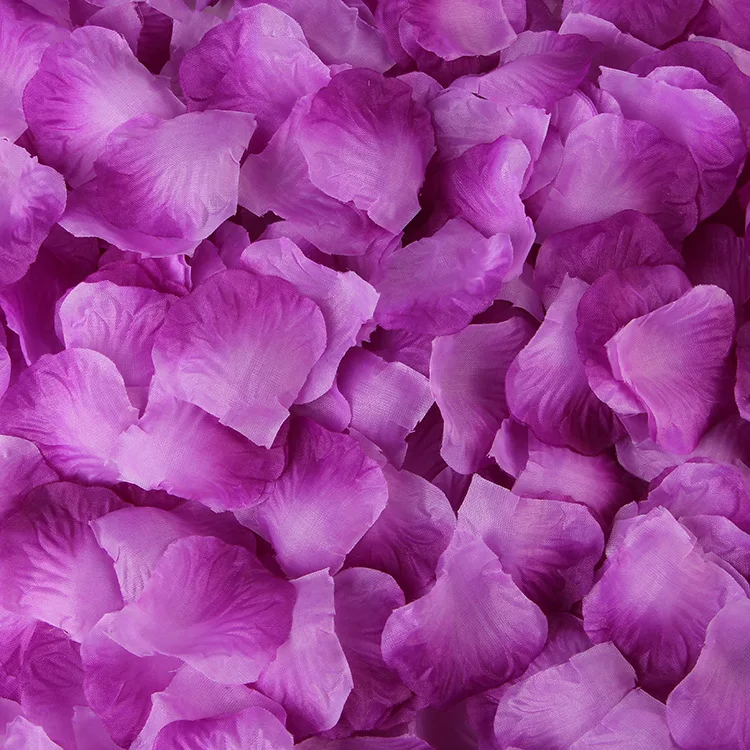 8863402648_1505201647