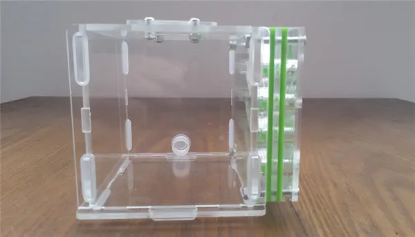 T2-Ant-nest (11)