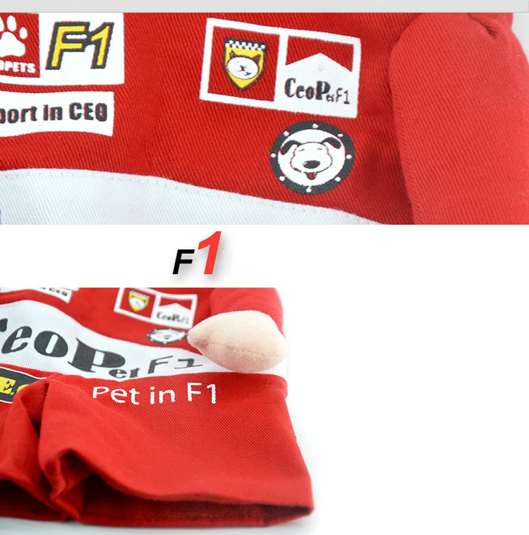 pet costume (7)