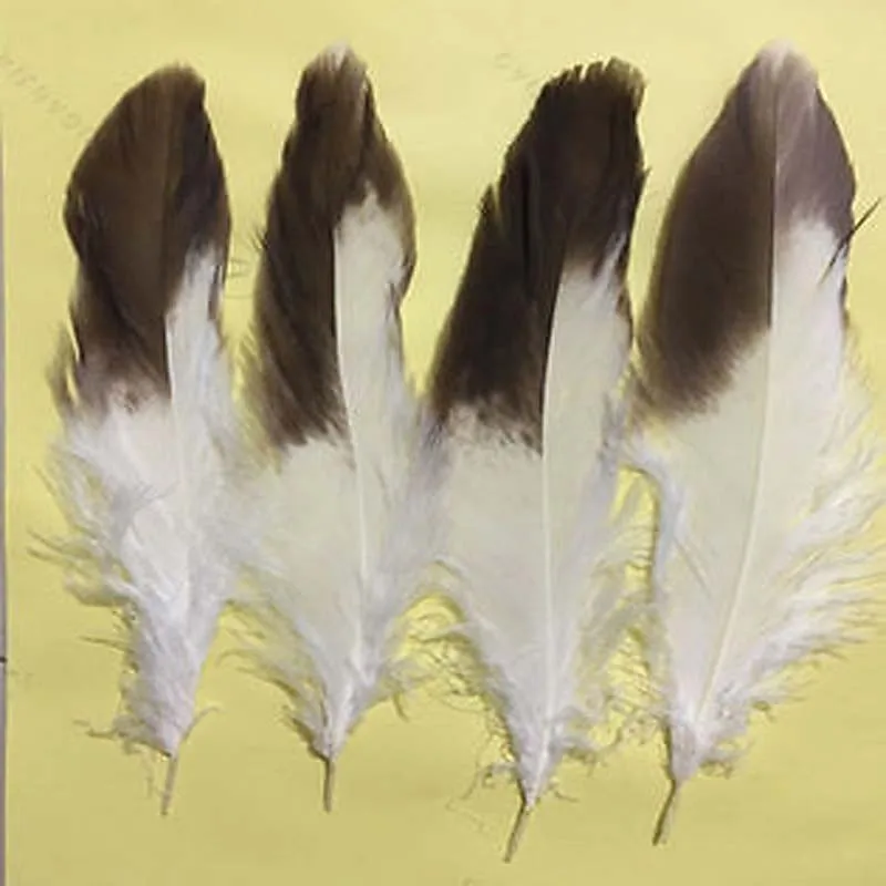 

Wholesale! Rare 100Pcs Wedding and other decorative 5-10inch Pheasant Pattern feathers