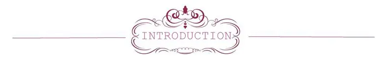 INTRODUCTION2