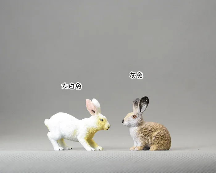 Animas! Solid animal model toy bunny rabbit little...