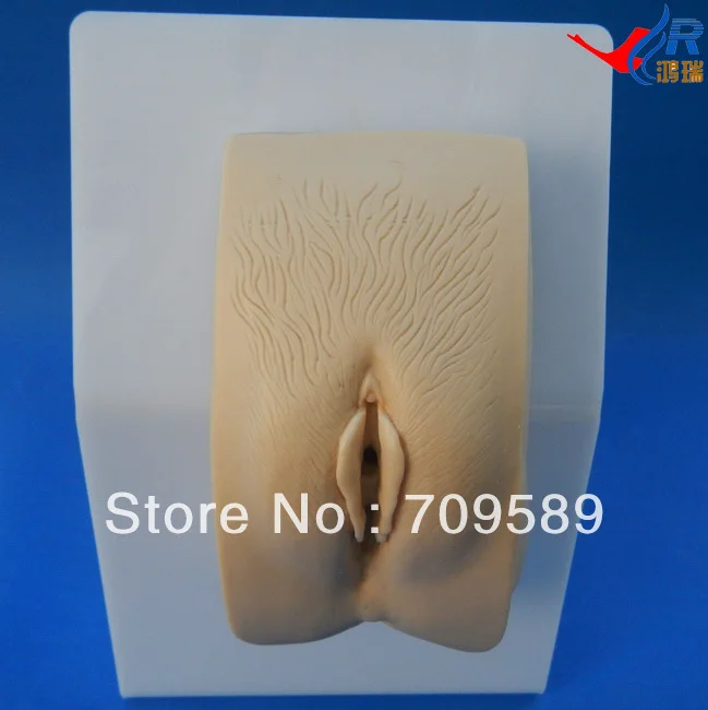 

advanced wearable female urethral catheterization model