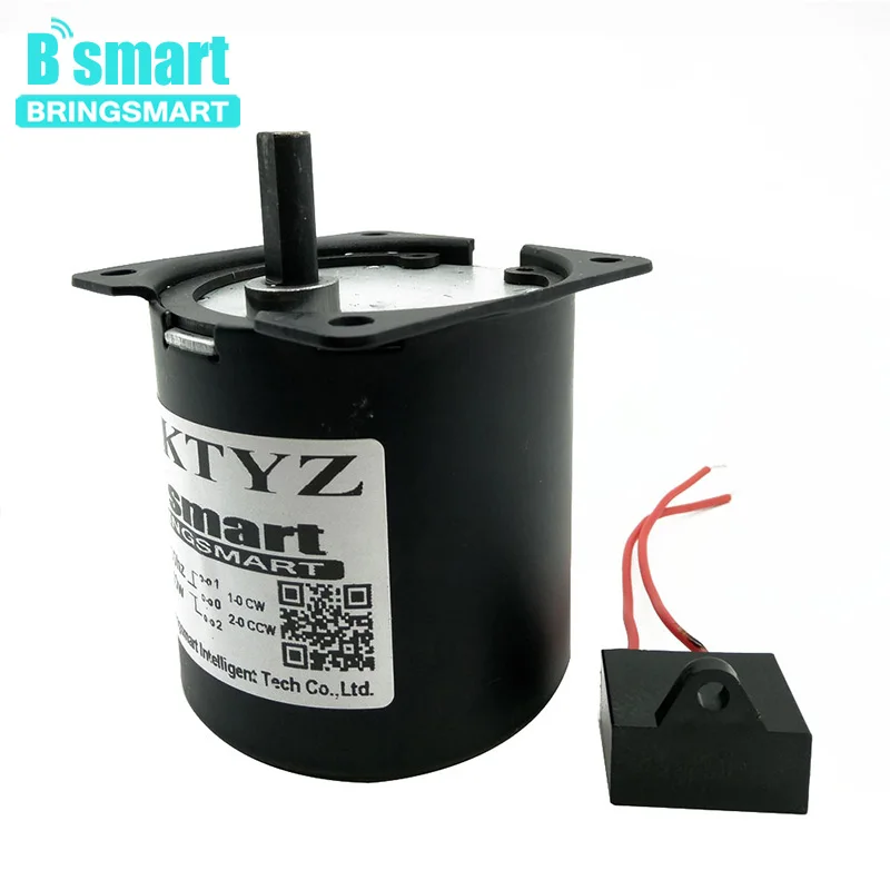 

Bringsmart 70ktyz 160kg.cm AC Synchronous Motor 220V High Torque Mini Gear Reduction Motor AC Gear Motor Low Speed