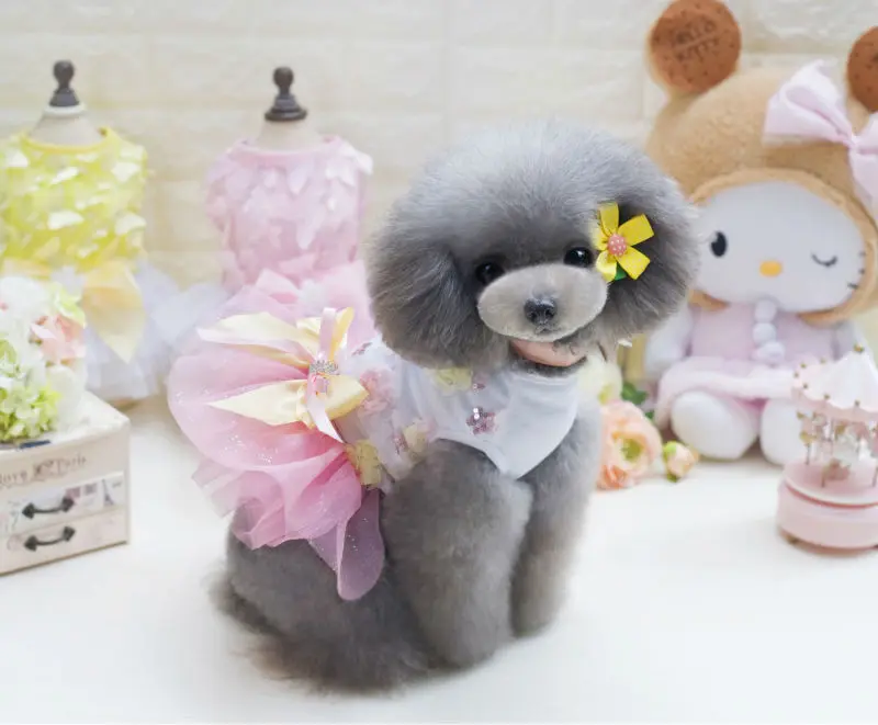 Y10_DogBaby_Summer_Pet_Dog_Dress_Sweety_Colorful_Candy_Skirt_for_Puppy_dog_Cats_Princess_Bowknot_Floral_Tutu_Dress_for_Chihuahua_ (10)