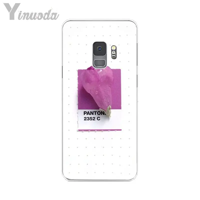 Pantone Candy Color Flower