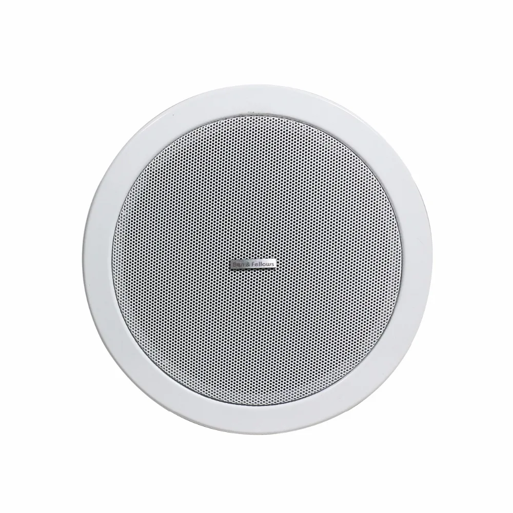 

Ben & Fellows 521035 SIP Network Ceiling Speaker 6 Inch 15W with Network Audio Decoding and Digital Amplifier