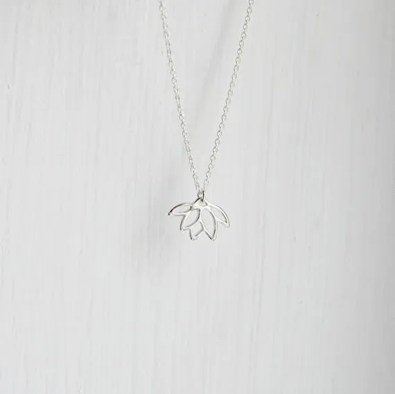 2163505661_1468280285