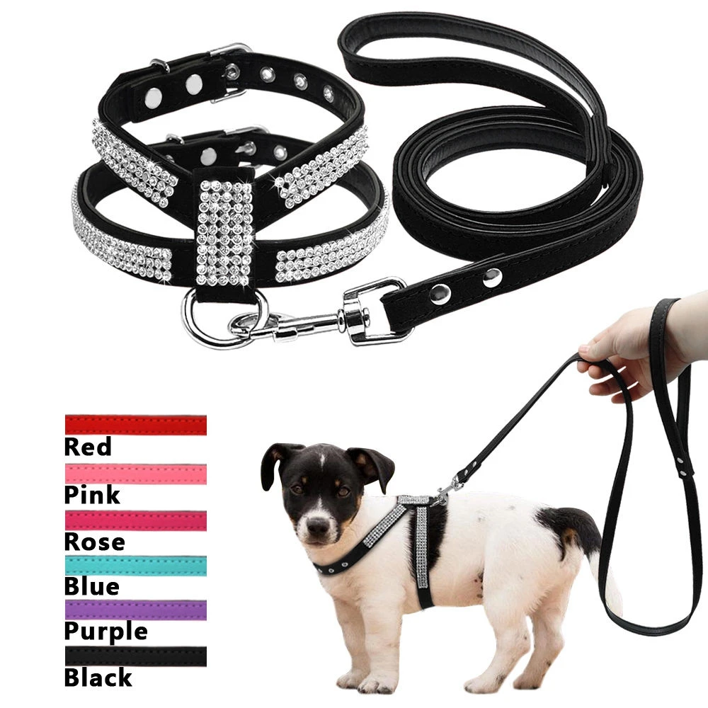 small dog harness and lead