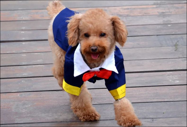 Fashion100 Cotton navy blue suits dog suit pet suit blue coat dogs