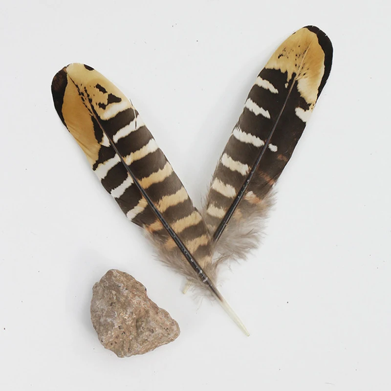 

50 / 100 pcs 12-18 cm Natural Pheasant Feathers Chicken Plume for DIY jewelry Craft Dance clothing Decoration
