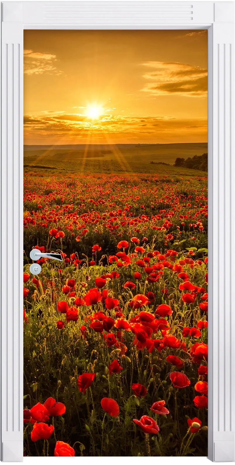 door_s2285---1_1