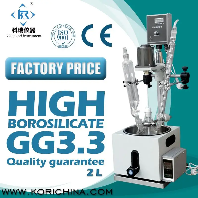 Glass Lined Biochemical Reactors with 2L Glass Reaction Vessel with