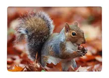 Floor Mat Cute Lovely Fat Squirrel animal On The Snow Print Non-slip Rugs Carpets alfombra For Indoor Outdoor living kids room