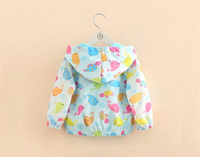 HTB1E0qgRFXXXXauXFXXq6xXFXXXU