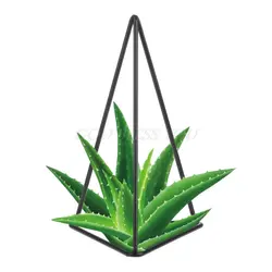 Геометрический Утюг книги по искусству отдельно стоящий цветочный горшок Air висячее растение цветок держатель стойки Trihedron украшения дома