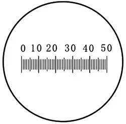 DIV 0,1 мм этап окуляра микрометр для микроскоп окуляр Graticule измерения стеклянная линейка DIV мм 0,1 диаметр 19 мм