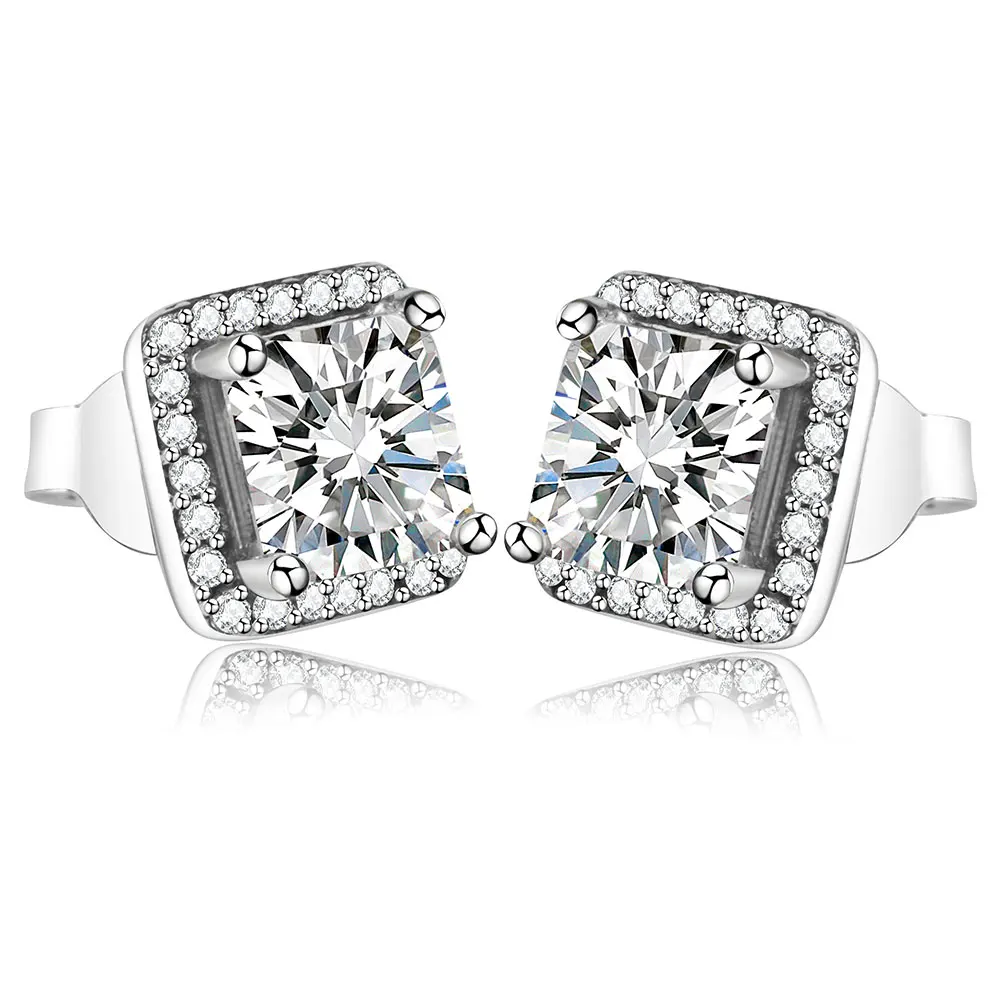 encased elegance silver earring