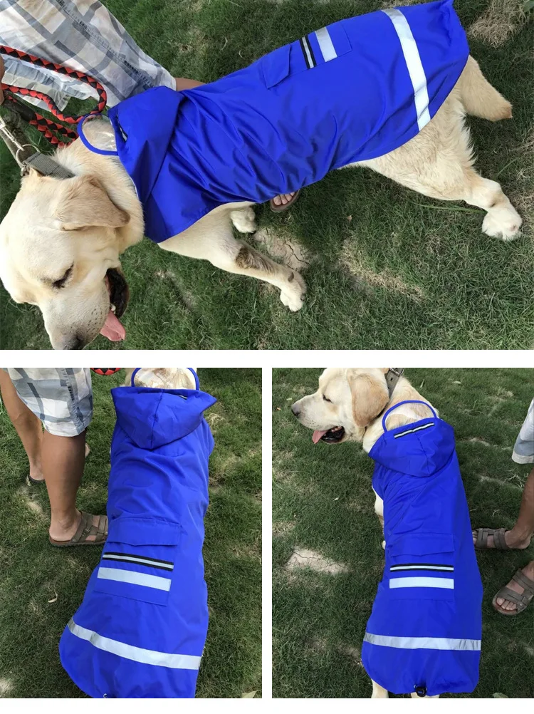 Dog Raincoat (3)