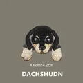DACHSHUDN