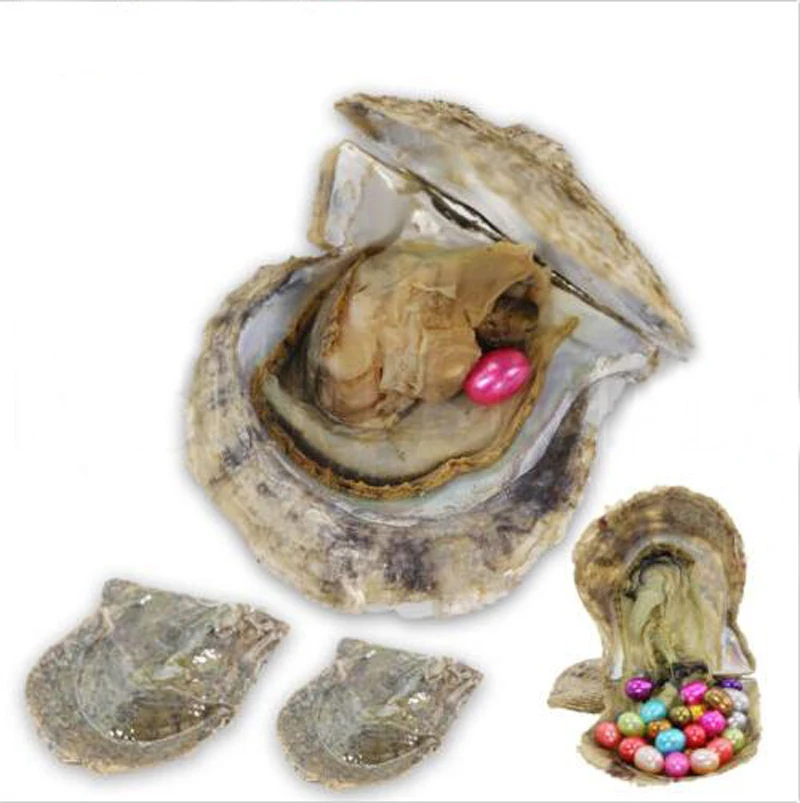 Saltwater Akoya Oyster Single 67mm Rice Pearl, Mixed Colors Party Gift