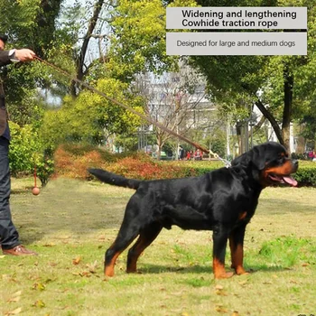 

High Quality Pet Training Pet Dog Leash Walking Safety Leather Dog Chain Dog Leash Rope Pet Running Long Mountaineering Dog Rope