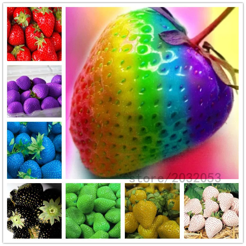 300pcs/bag rainbow strawberry ,giant strawberry,rare bonsai organic fruit
