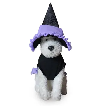 

New Pet Clothes Sets Cats Dogs General Turned Into Funny Clothes Witch Set Hot Dog Clothes Dressing Up Coat Clothes Suit Funny
