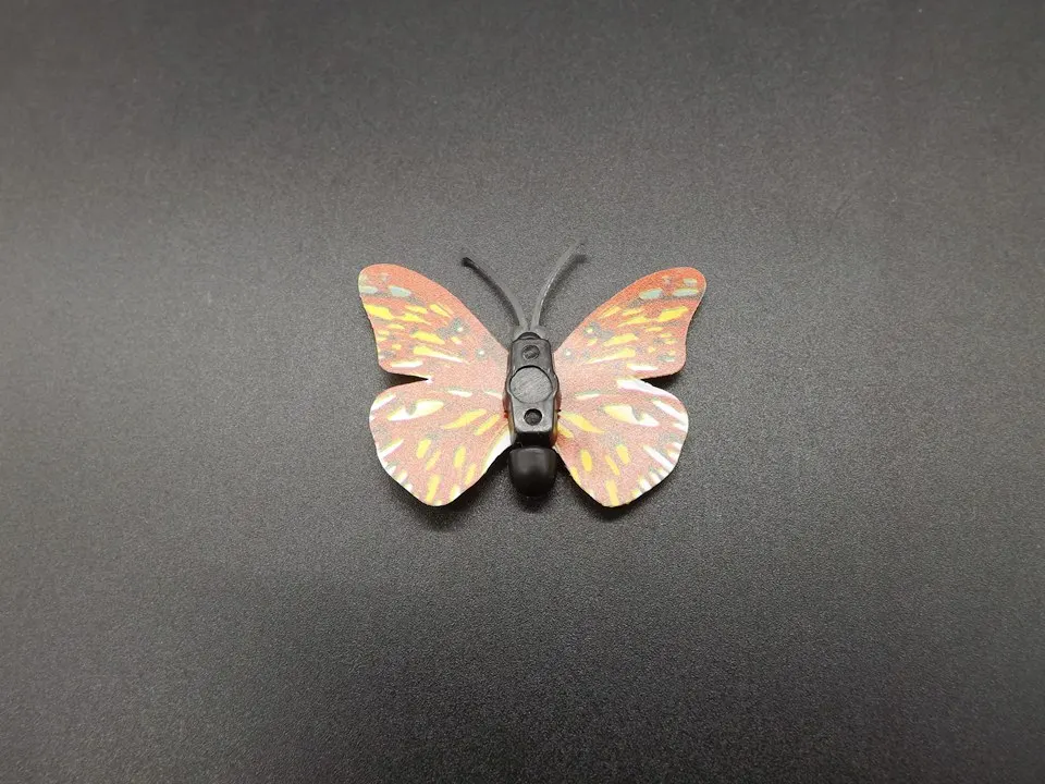 I255-Butterfly (9)