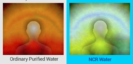 Картридж для щелочной воды NCR101S