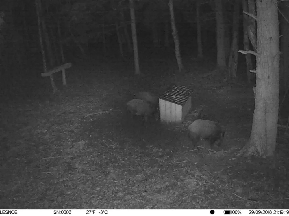 Охотничья камера Traps Photo BL480LP 4G охотничья камера с 12MP ScoutGuard Chasse Hunter Cams с Android/IOS APP охотничьи камеры