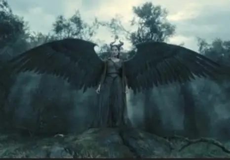 

2017 lastest cosplay fashion feather wings stage lagre props pure handmade Fashion angel wings props model catwalk shows supply