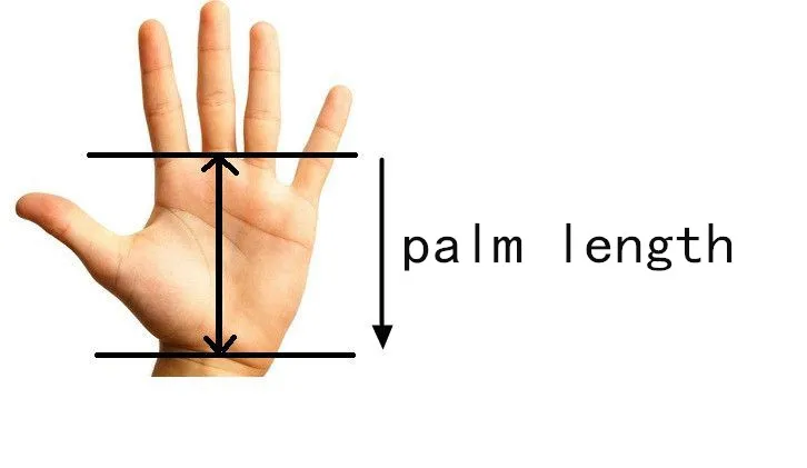 6_