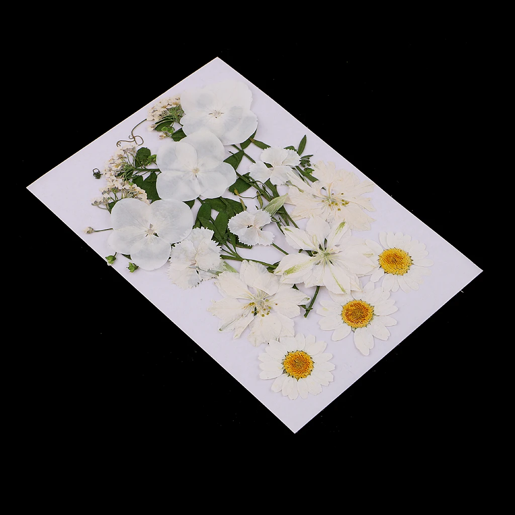 

Multiple Mix Natural Pressed Dried Flowers Leaves DIY Art Craft 2-3.5cm