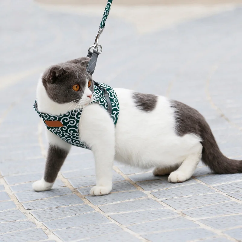 Cat harness vest