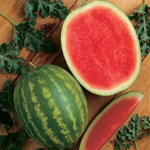 

Sweet Red less Watermelon 30pcs " Juicy Crunchy Very Sweet